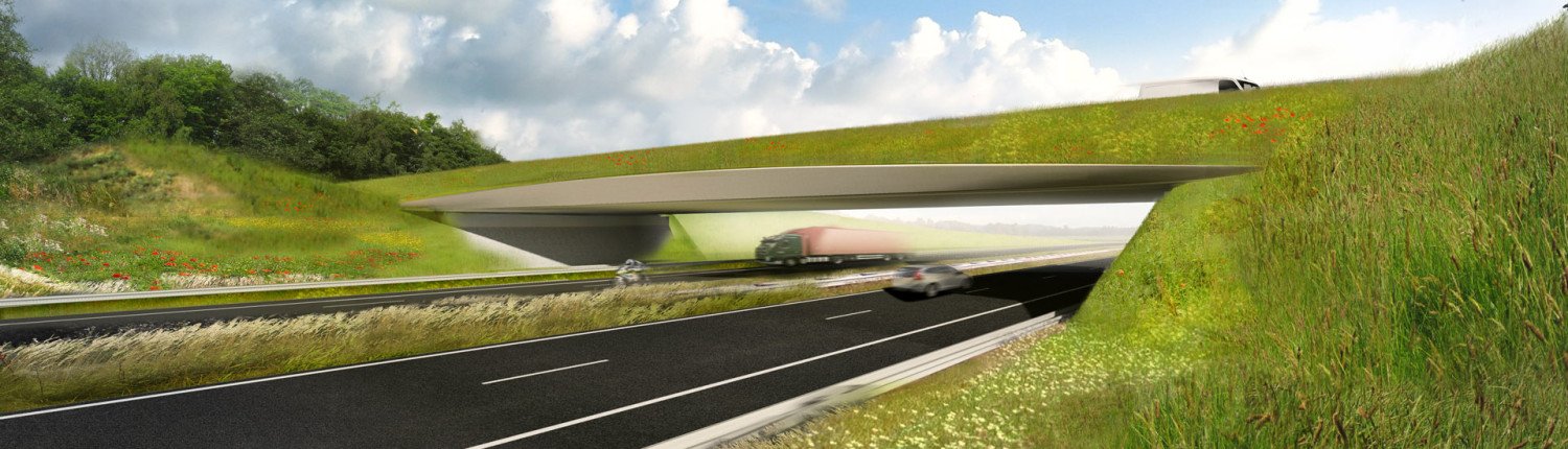 visualisation bridge design, ecoduct Assen