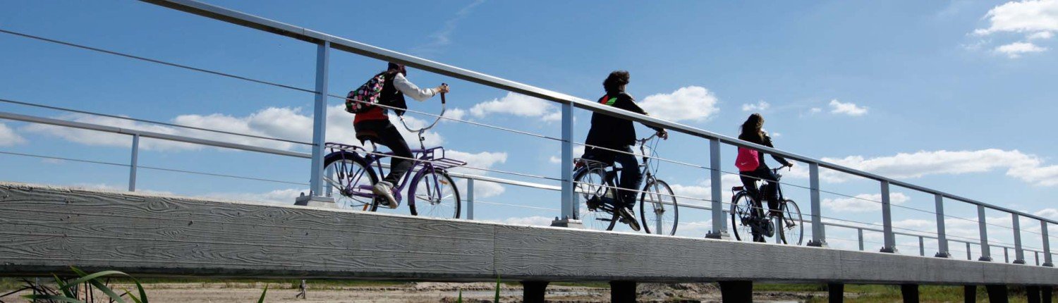Werkdonken cycle bridge Breda, low view from rvs and conrete slender bridge